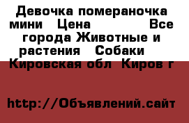 Девочка помераночка мини › Цена ­ 50 000 - Все города Животные и растения » Собаки   . Кировская обл.,Киров г.